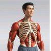 medvisual3d