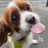kayrasprivv