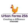urbanfarmsug