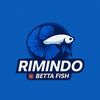 rimindo.betta