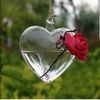 ameursamir116