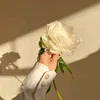 mem__2223
