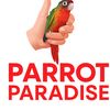 parrotsparadise12