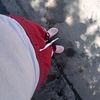 sander_487