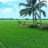 ba.tri5