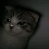 jayden.4lif3__