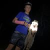 sam_frei33