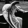 weeping_moonbeam