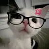 meii_huyn_