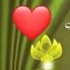shazia.gull71