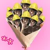 yeu_n_koyeuainua