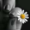 .y64876