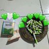muhammadrifaldi5103