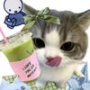 safira__chanss