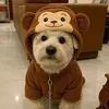 leo.dan.1511