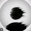 syafrynn_