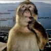 abdulaziz_8373