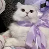 bebenianoh_