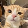 snugglesprout6