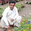 javid8123
