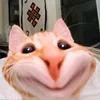 nguoi_1m9