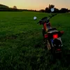 michhazy7