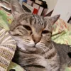 elfylove6