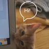 linhmoew_24
