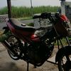 a.anjing3