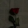 user1524274590328