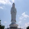 mai.phm182