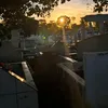 flopfakee