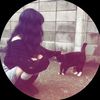yasmine_zz2