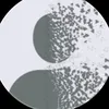 dcmffoccho