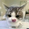sweetly._762