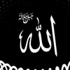 azimi427