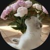 arwa.jamali4
