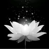huongtra1005