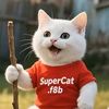 Only cats