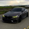 qarli_adam