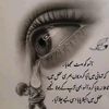 parvaiz.ali.parva13