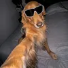 bleizebear