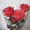 user52009833363982