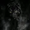 plingirash7