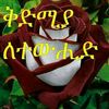 user4743168449053