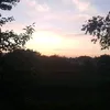 mipa12376590
