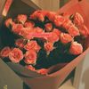 sama.ashraf575