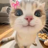 biilliib