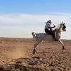 almahidli_511
