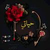 user443805157304